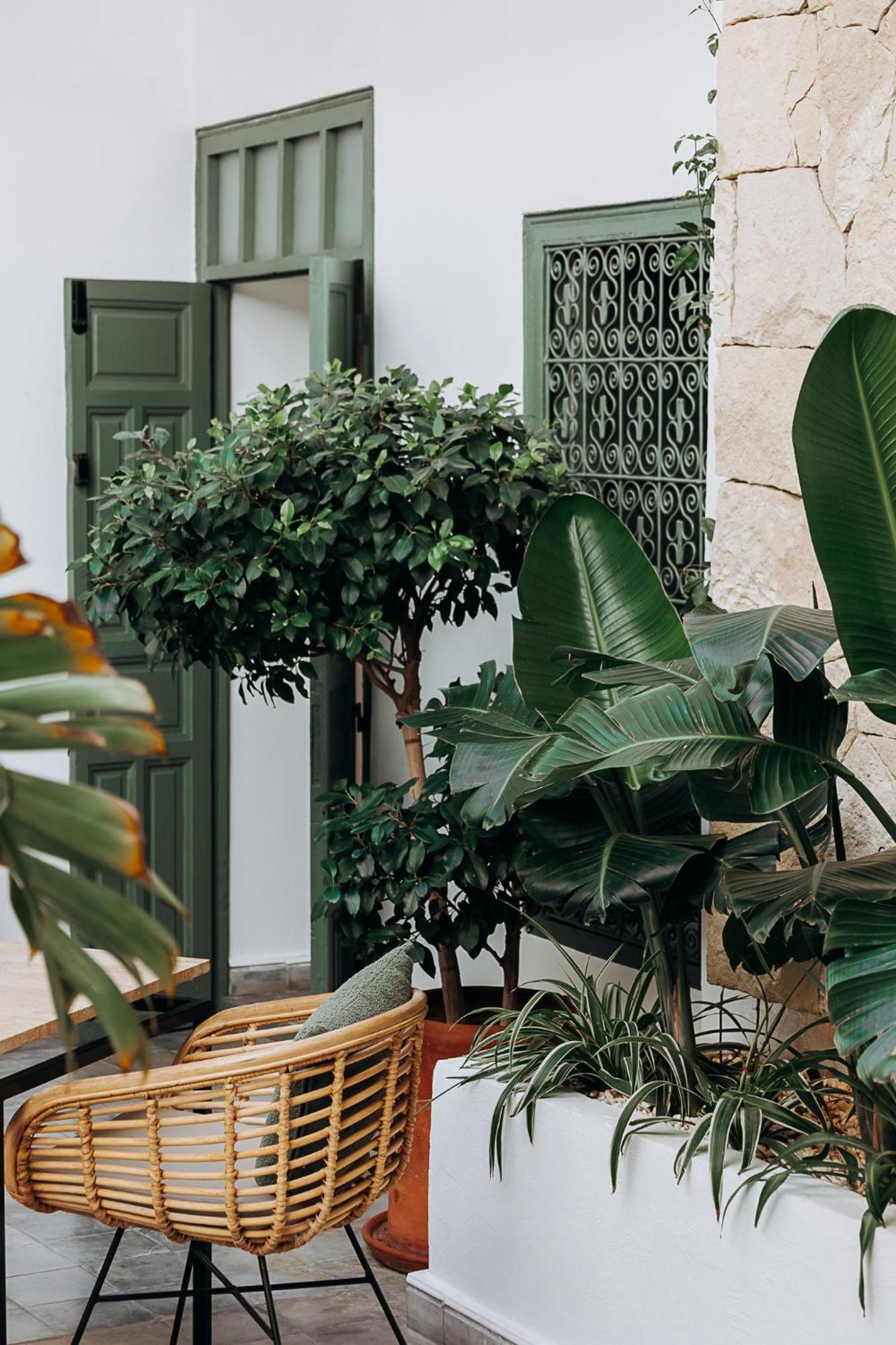 Riad Villa Wenge & Spa Marrakesh Exterior photo